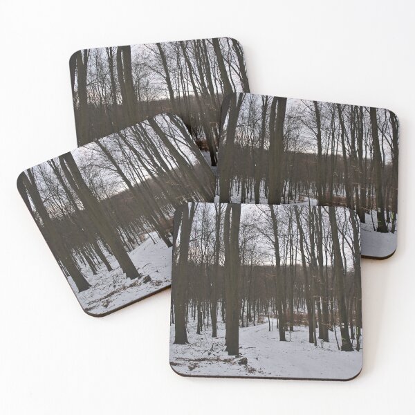 Item preview, Winding Path Through the Late Winter Snow in the Little Carpathians designed and sold by Cissa King Photography.
