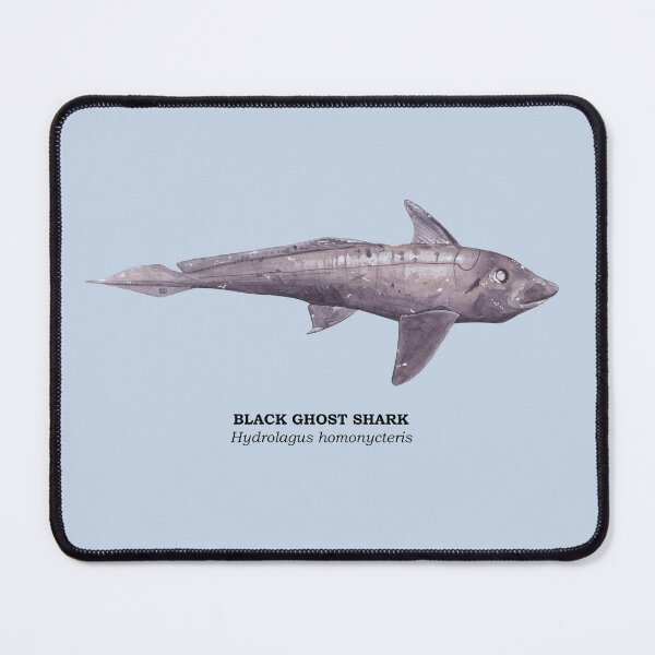 Item preview, BLACK GHOST SHARK-Hydrolagus homonycteris (name) designed and sold by BEATRIZ ABAITUA.