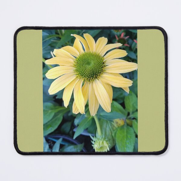 Item preview, A Beautiful, Bright and Cheerful Coneflower designed and sold by Mary Ellen Tuite.