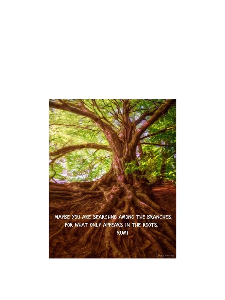 Thumbnail 4 of 4, iPhone Case, Tree Roots designed and sold by Doug's Landing.