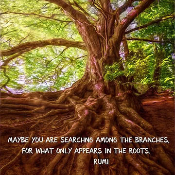Artwork thumbnail, Tree Roots by Doug's Landing