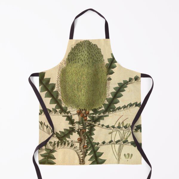 Item preview, Vintage Illustration of Banksia Speciosa 1831 designed and sold by botanicalworks.