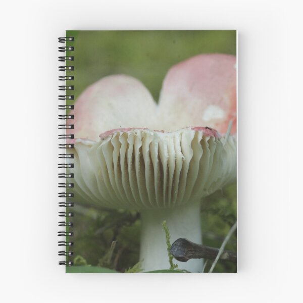 Item preview, Blushing Russula designed and sold by WolfNoodles.
