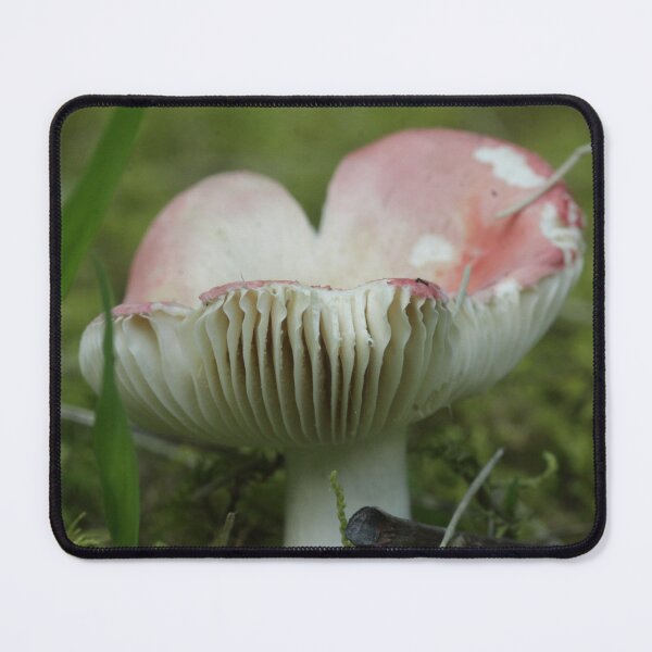 Item preview, Blushing Russula designed and sold by WolfNoodles.