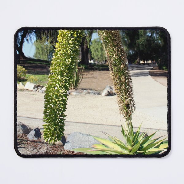 Item preview, Agave Foxtail designed and sold by heatherfriedman.