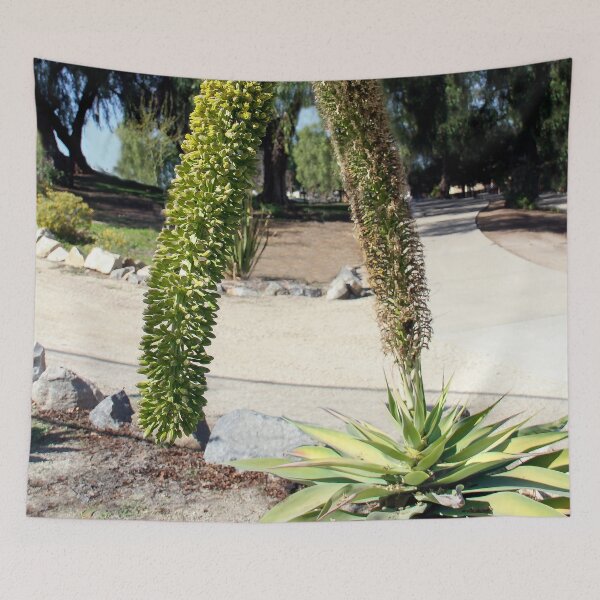 Item preview, Agave Foxtail designed and sold by heatherfriedman.