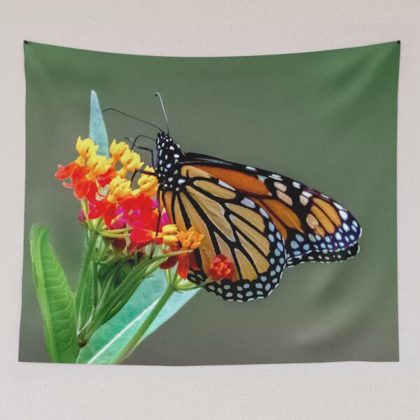 Item preview, Elegant Monarch Butterfly on Bright Flowers – Macro Photography designed and sold by 549 Designs.