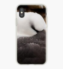 Black browed Albatross iPhone Case