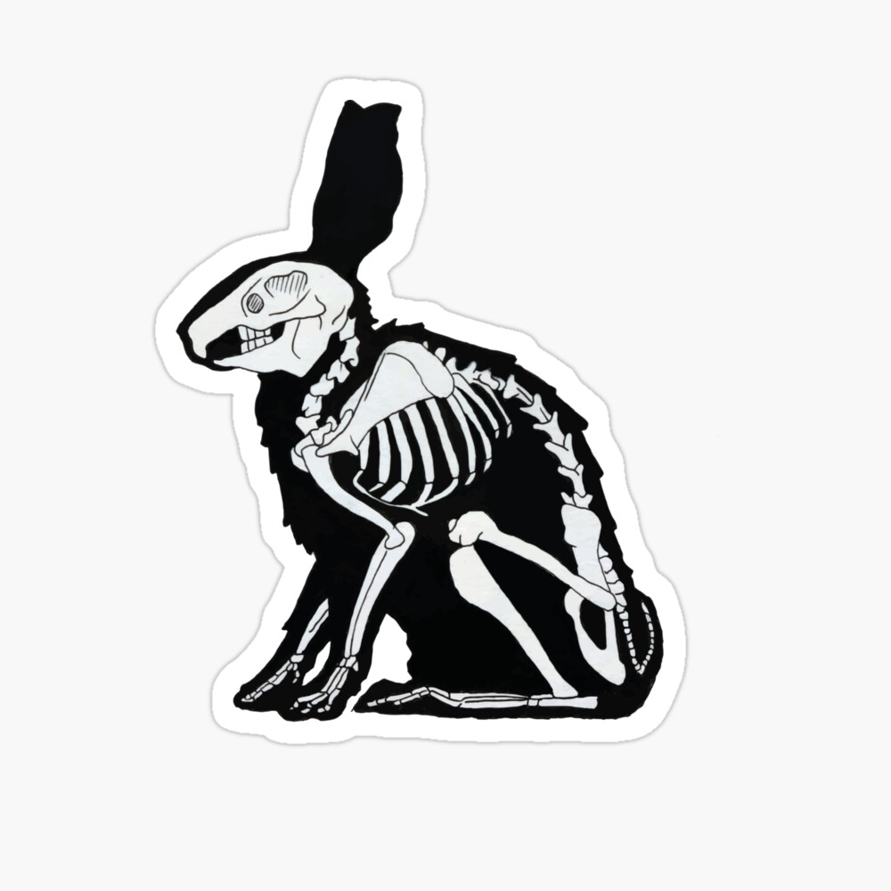 Bunny Skeleton Ubicaciondepersonascdmxgobmx 