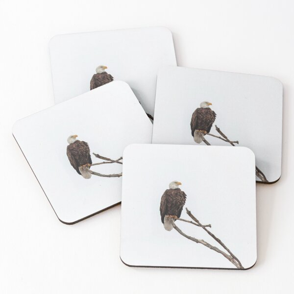 Item preview, Bald Eagle 2-23-25 designed and sold by Thomasyoung.