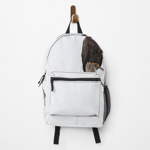 Item preview, Bald Eagle 2-23-25 designed and sold by Thomasyoung.