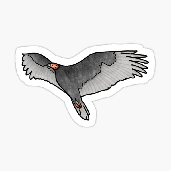 Vista previa del artículo con la obra «Buitre de pavo», diseñado y vendido por TomatoPatch.