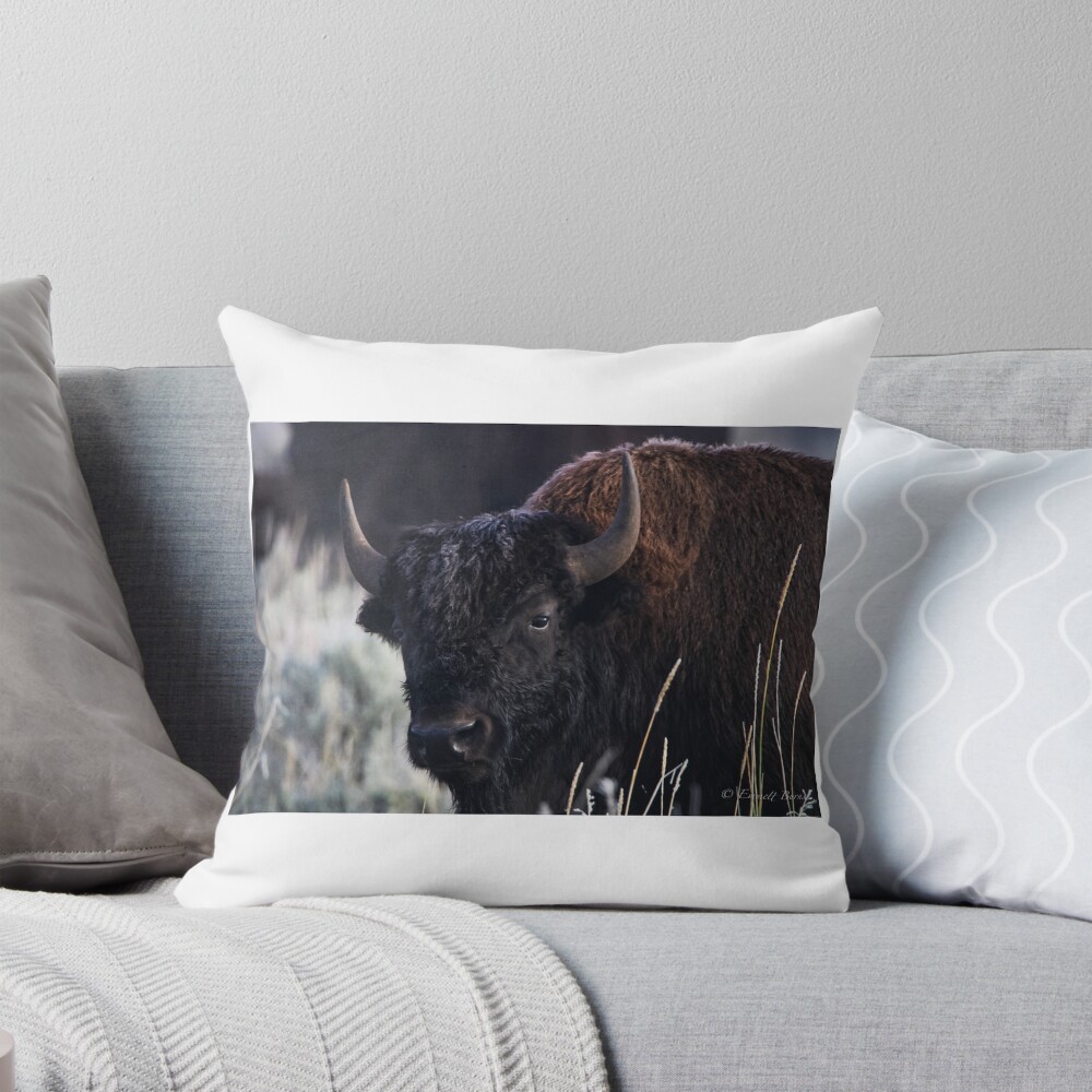 Item preview, Throw Pillow designed and sold by EmmettBurns.