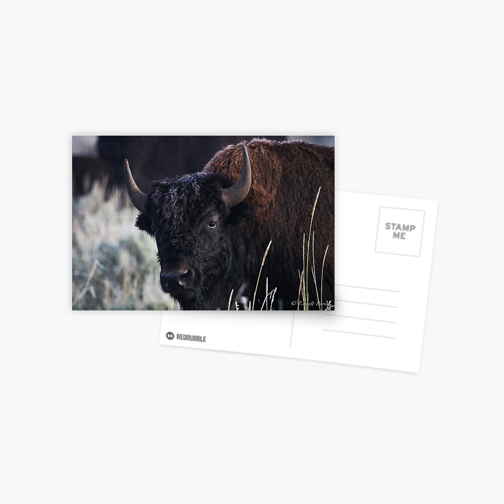 Item preview, Postcard designed and sold by EmmettBurns.