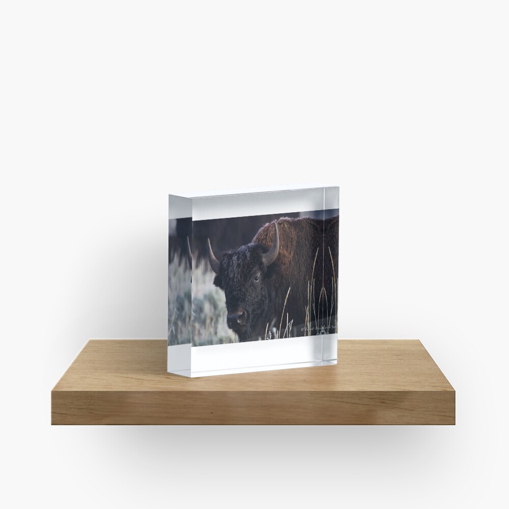 Item preview, Acrylic Block designed and sold by EmmettBurns.