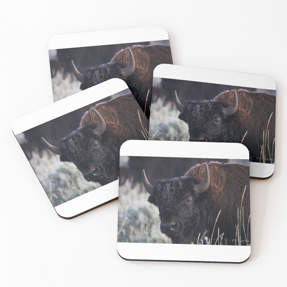 Item preview, Coasters (Set of 4) designed and sold by EmmettBurns.