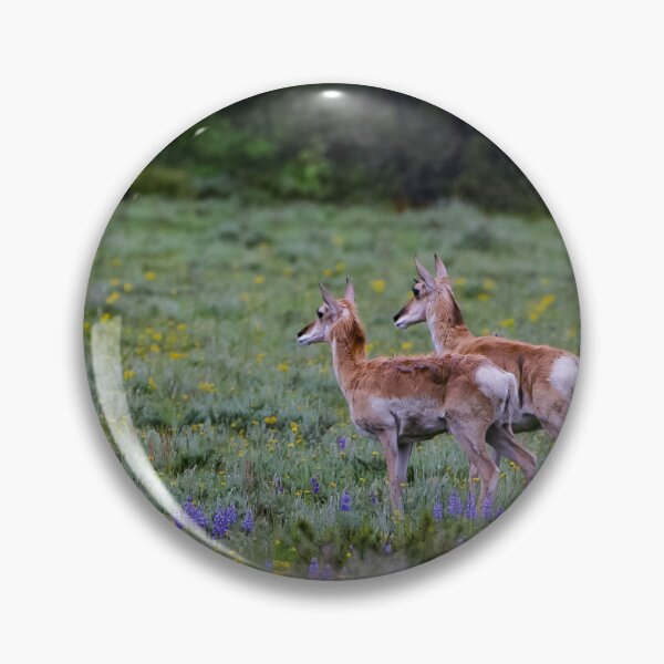 Item preview, Teton Pronghorn  designed and sold by EmmettBurnsPhotography.