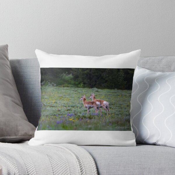 Item preview, Teton Pronghorn  designed and sold by EmmettBurnsPhotography.