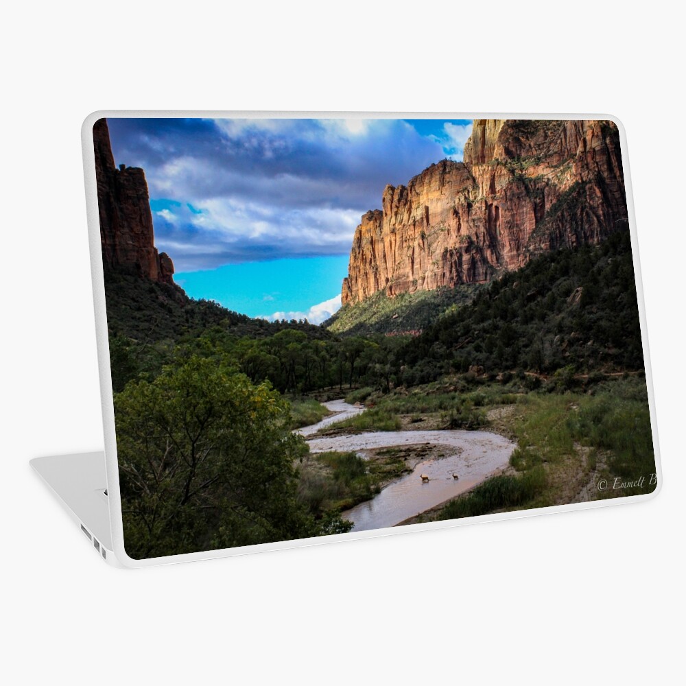 Item preview, Laptop Skin designed and sold by EmmettBurns.