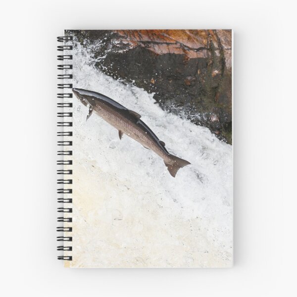 Item preview, leaping salmon designed and sold by chanonry.