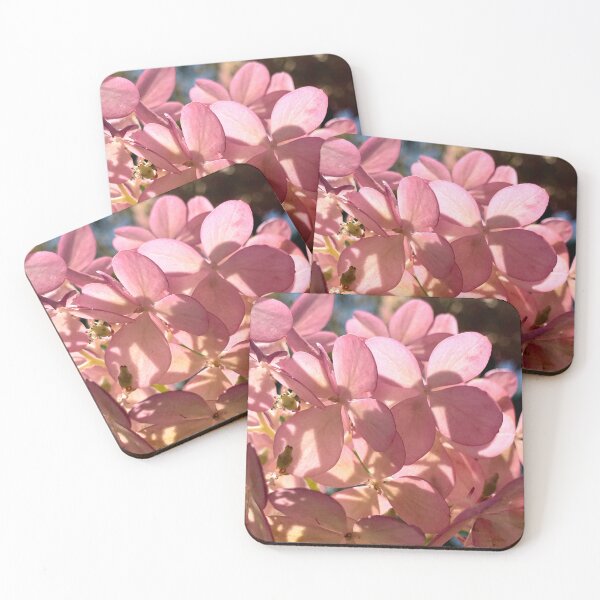 Item preview, Light and Petals designed and sold by Betsy Phillips.