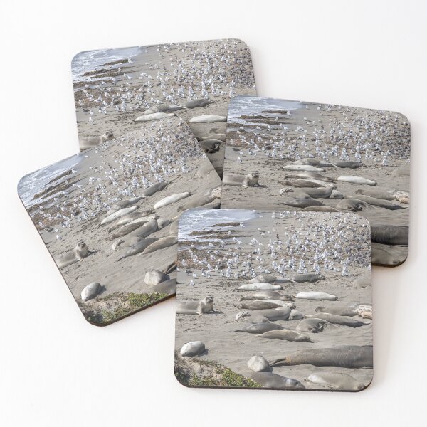 Item preview, Elephant Seal Viewing at San Simeon 1 designed and sold by jrtwynam.