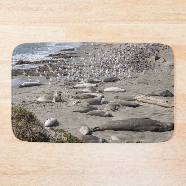 Item preview, Elephant Seal Viewing at San Simeon 1 designed and sold by jrtwynam.