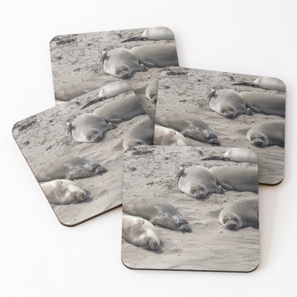 Item preview, Elephant Seal Viewing at San Simeon 2 designed and sold by jrtwynam.
