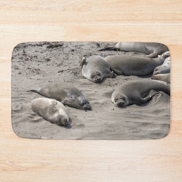 Item preview, Elephant Seal Viewing at San Simeon 2 designed and sold by jrtwynam.
