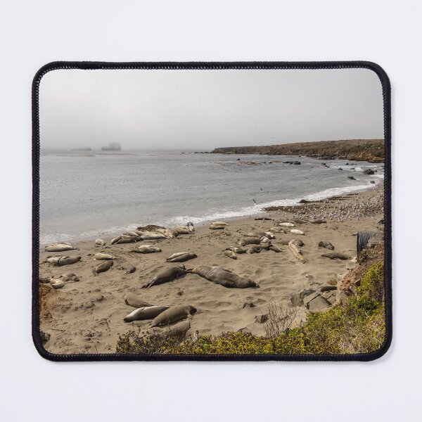 Item preview, Elephant Seal Viewing at San Simeon 3 designed and sold by jrtwynam.