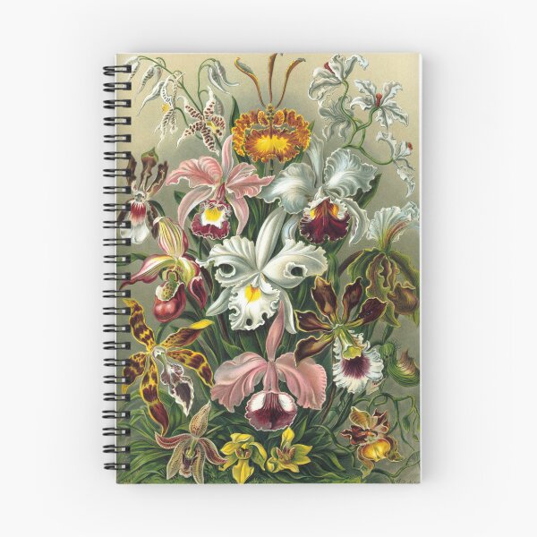 Item preview, Art Forms in Nature, Plate 74: Orchidae - Ernst Haeckel, 1904 designed and sold by HollieMc22.