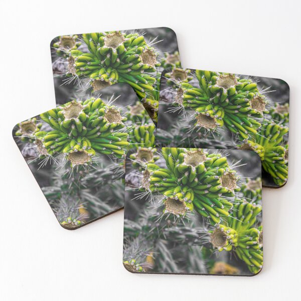 Item preview, Catus 1 designed and sold by photofreak56.
