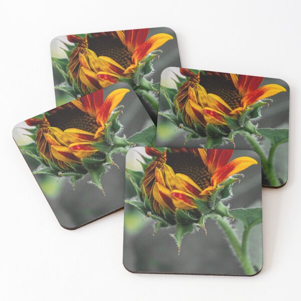 Item preview, Sunflower bloom designed and sold by photofreak56.