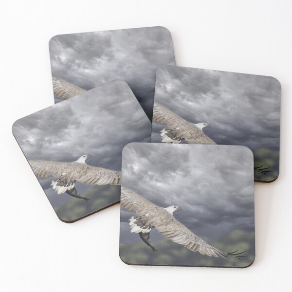 Item preview, White-bellied Sea-Eagle - Australian Native Birds designed and sold by Ozjanette90.