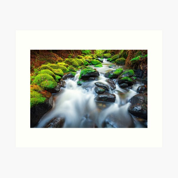 Item preview, Verdant Stream Sleeps, Otways, Great Ocean Road, Australia designed and sold by Michael Boniwell.