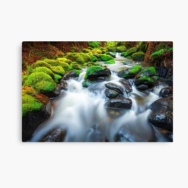 Item preview, Verdant Stream Sleeps, Otways, Great Ocean Road, Australia designed and sold by Michael Boniwell.