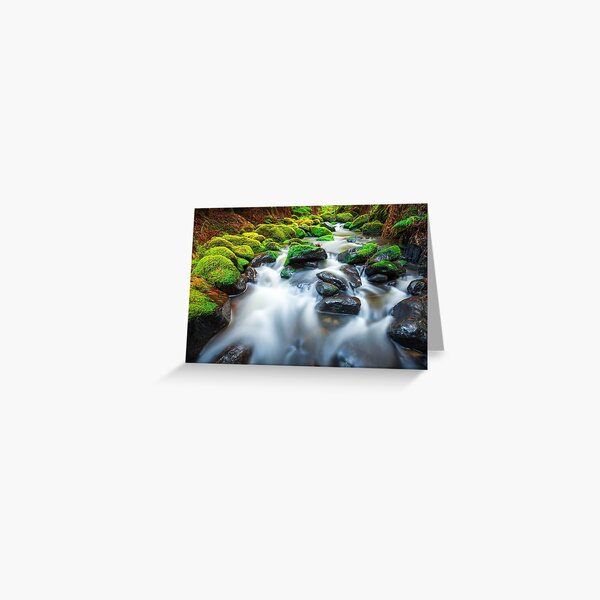Item preview, Verdant Stream Sleeps, Otways, Great Ocean Road, Australia designed and sold by Michael Boniwell.
