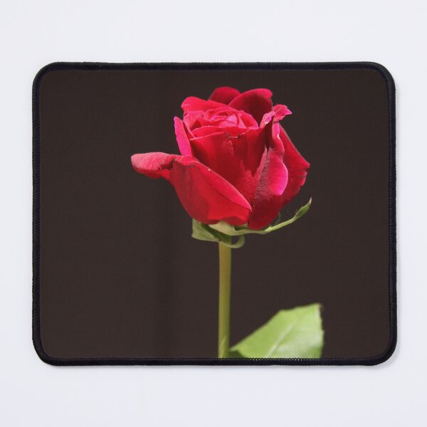 Item preview, Rosebud designed and sold by heatherfriedman.