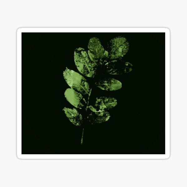 Envoûtante Feuille Verte Sticker