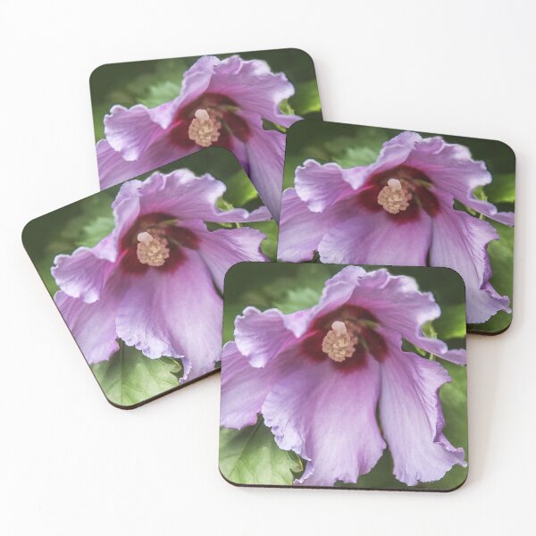 Item preview, Still Blooming! designed and sold by heatherfriedman.