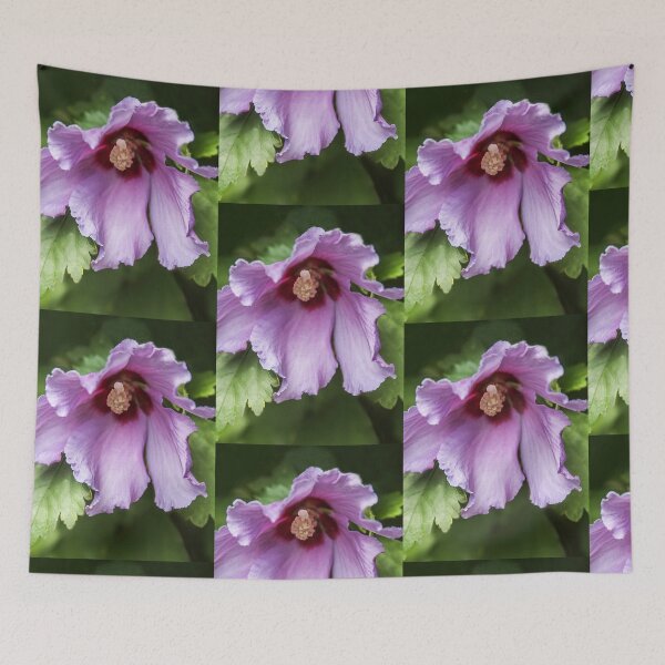 Item preview, Still Blooming! designed and sold by heatherfriedman.