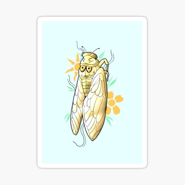 Item preview, Cicada designed and sold by Sopacific.