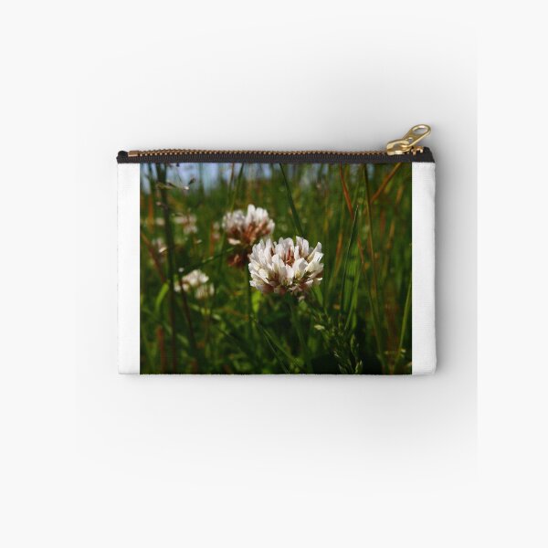 Item preview, White Clover (Trifolium repens) designed and sold by IOMWildFlowers.
