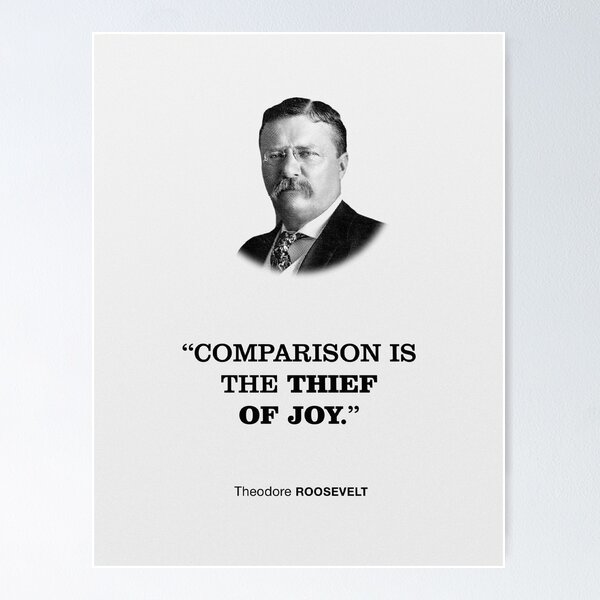 Item preview, Theodore Roosevelt Philosophy Quotation designed and sold by NandhinOni.