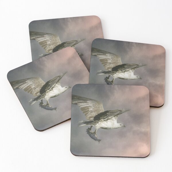 Item preview, White-bellied Sea-eagle - Australian native birds designed and sold by Ozjanette90.