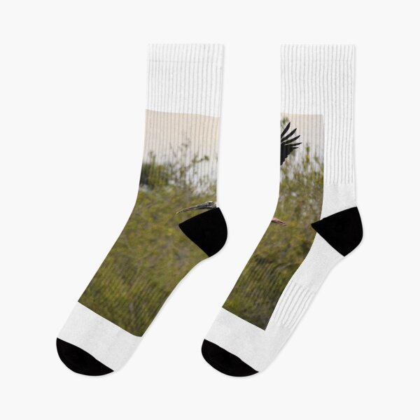 Item preview, Flying Wood Stork designed and sold by MercerImages.