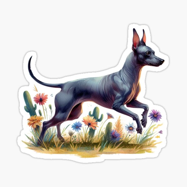Vista previa del artículo con la obra «Xoloitzcuintl corriendo en el rancho», diseñado y vendido por justinkameron.
