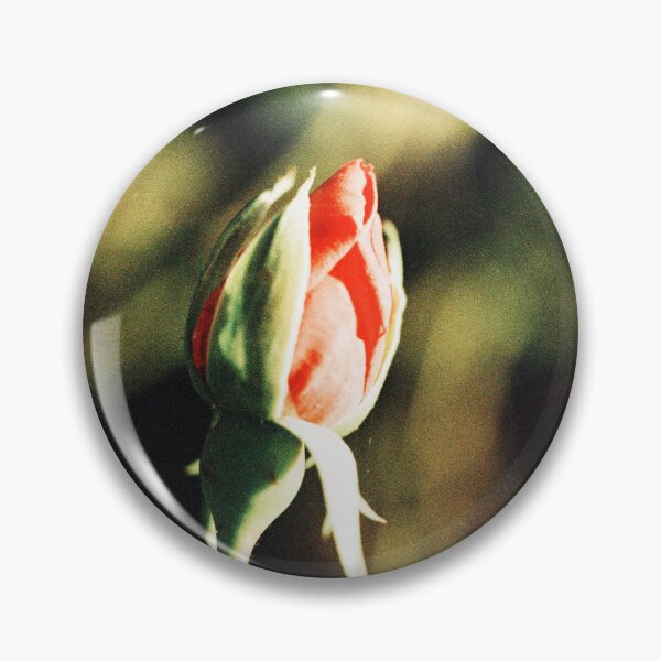Item preview, Rosebud designed and sold by Phil Bothwell Photography.