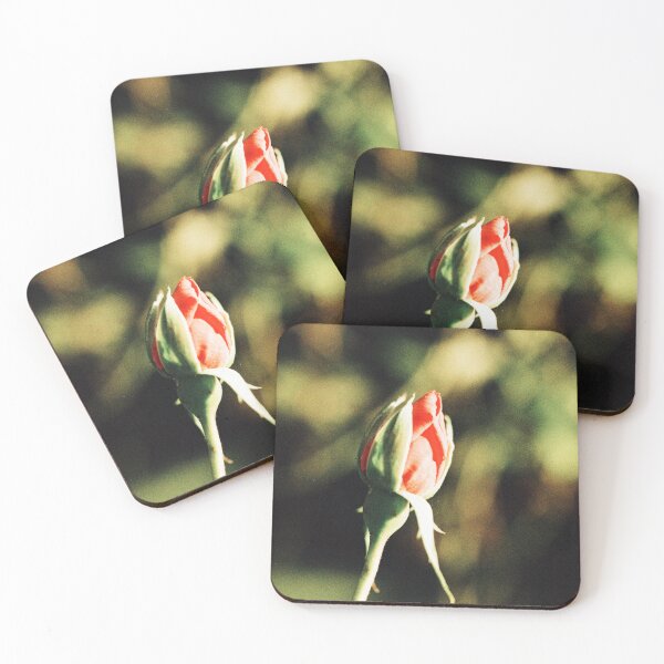 Item preview, Rosebud designed and sold by Phil Bothwell Photography.