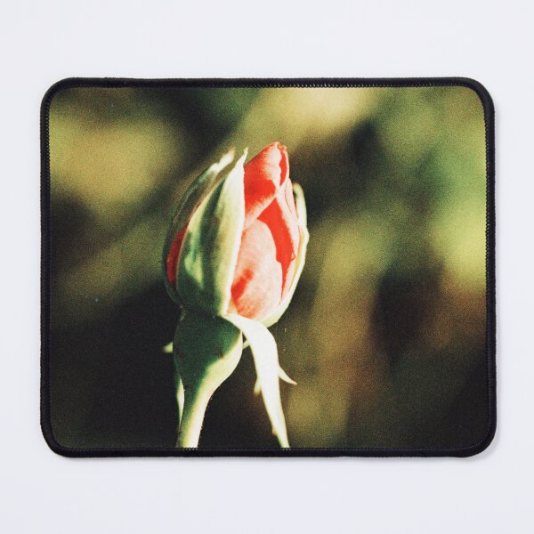 Item preview, Rosebud designed and sold by Phil Bothwell Photography.